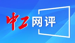巴西圣保罗闹元宵—— “功夫”桑巴亮眼 “中国好物”吸睛